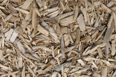 biomass boilers Chycoose